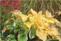 0751e3b0-IMG_0487 vrt1.jpg